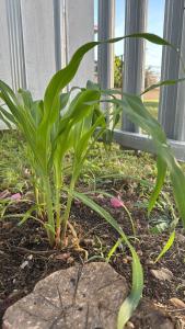 EL REY Hotel & Restaurant