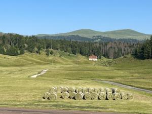 Maisons de vacances Gite L-auberge - Gite de groupe Au Soleil Jura si Ain - : photos des chambres