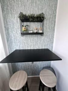 Anatolí Apartment Sulina