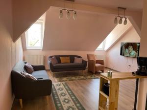 Panorama Studio Sighisoara