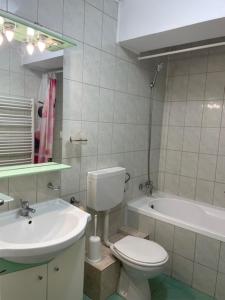 Panorama Studio Sighisoara