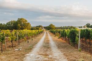 Esclusive luxury private trulli