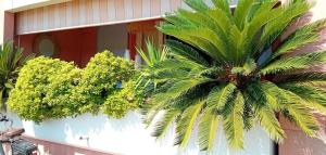 Appartements appartement la Croix Valmer : photos des chambres