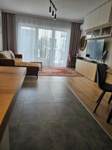 Czarny Słoń - elegancki apartament z klimatem