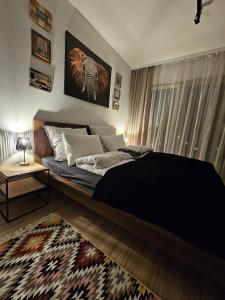 Czarny Słoń - elegancki apartament z klimatem