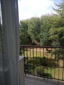 Apartament Słoneczny - mieszkanie niedaleko Manufaktury