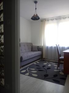 Apartament Słoneczny - mieszkanie niedaleko Manufaktury