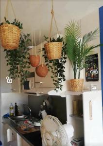 Les Cocotiers vue mer 250 m de plage