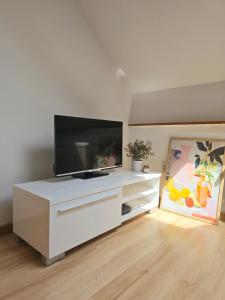 Downtown Loft Štúrova