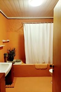 SOLAR DAS ARCAS Manor House