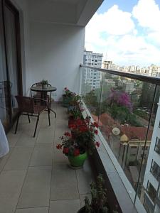 Golden Century Apartments