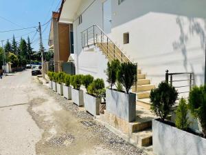 Albi guests House Tirana