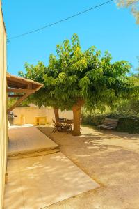 Maisons de vacances Les Muriers : photos des chambres