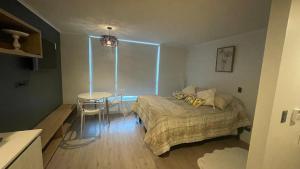 Departamento en Santiago P3