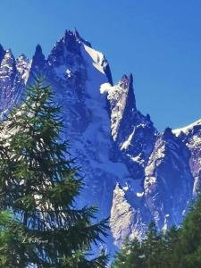 Appartement exceptionnel au Lavancher à chamonix