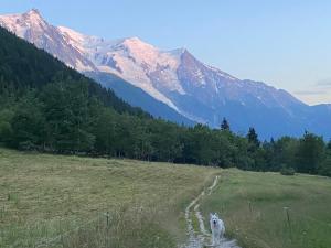 Appartement exceptionnel au Lavancher à chamonix
