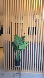 Appartements New Superbe F2 refait a neuf tout confort dans residence avec piscine : photos des chambres