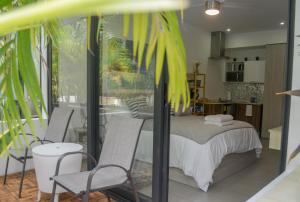 Modern studio in downtown Playa del Carmen
