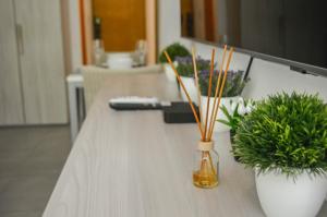 Modern studio in downtown Playa del Carmen