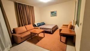 Luxurious Apartment with sea view