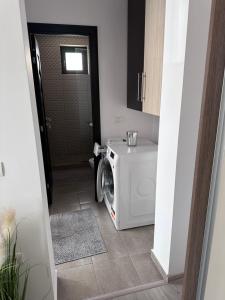 Central Apartament -Târgu Ocna