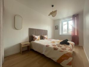 Maisons de vacances Maison 3 chambres 4 minutes du Puy : photos des chambres