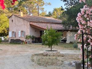 Maison au calme dans la forêt