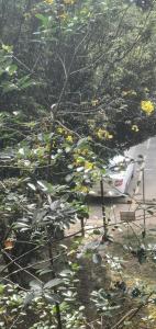 Apartamento céntrico en el poblado