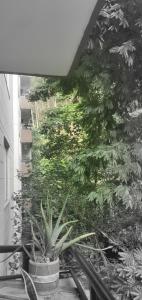 Apartamento céntrico en el poblado