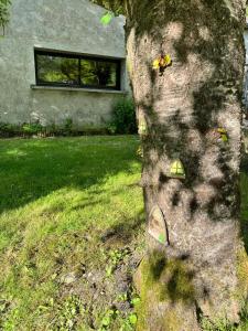 Maisons de vacances Maison cosy avec jardin, riviere et ponton prive : photos des chambres