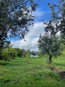 Yurt na magia do bosque