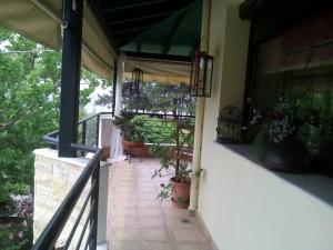 Vicente House