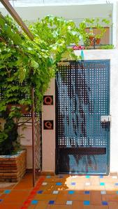 Casa de la Portuguesa, bonita terraza con barbacoa