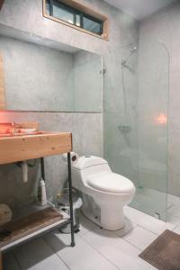 Jungle house in Santa Teresa