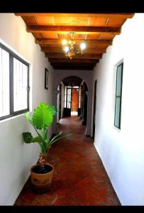 Casa de Campo luciérnaga