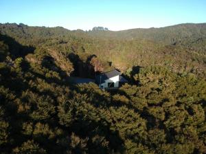 Waiotoi - The Bush Hideaway