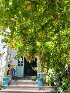 ký ức tươi đẹp homestay