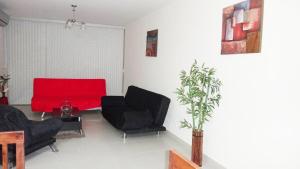For rent furnished apartment in San Francisco Bay