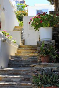 Villa Nefeli Andros Greece