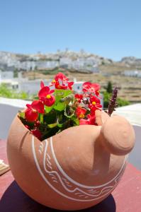 Pension Ilias Amorgos Greece