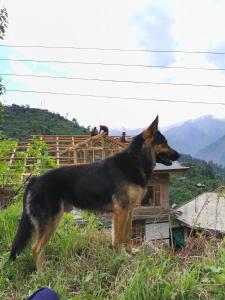 LMR homestay