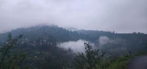 LMR homestay