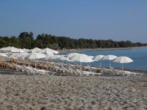 Alisachni Olympos Greece
