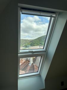 Authentic Historic Luxury House