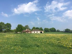 La Maison dArtiste à 5 min du Haras du Pin, Normandie