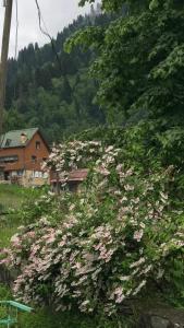 Guesthouse Dolunay