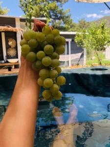 Villa Işık , A Happy Vacation Story