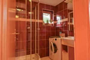 Apartmaji pr` Brdarju