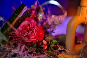 Appartements Dark Floral insolite Jacuzzi privee situe a 5 minutes du centre ville parking sur place possible : photos des chambres