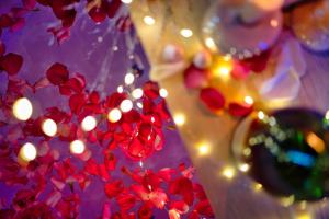 Appartements Dark Floral insolite Jacuzzi privee situe a 5 minutes du centre ville parking sur place possible : photos des chambres